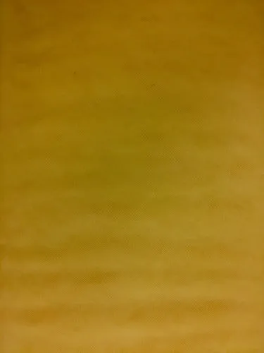 Tulle - 54-inches Wide New Gold By the Bolt
